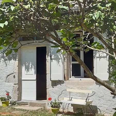 Chez Mialaret Bed & Breakfast Tourniac Exterior foto